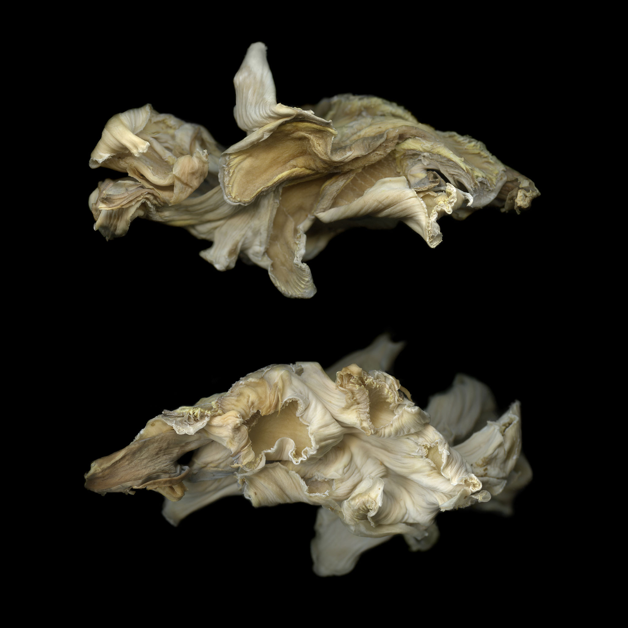 Cauliflower